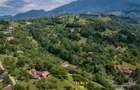 Teren Construcții de 4000 mp, în Bran - 2