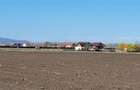 Teren Construcții intravilan de 49906 mp, în Stupini - 12