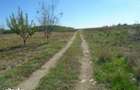 Teren Branceni, ID: R2942560 - 5