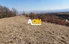 Teren intravilan de 4165 mp, în Cetate - 2