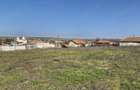 Casă cu Teren 3437 Mp în Central - 8