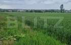 Teren Construcții intravilan de 800 mp, în Bod - 4 Teren Construcții intravilan de 800 mp, în Bod - 4
