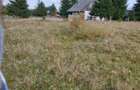 Vand teren intravilan in Belis - 6