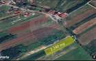 1.500 eur/ar - TEREN INTRAVILAN in Lapusel - 4