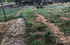 Vand doua case in satul Baltateni - 1