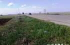 Vand 2500 mp, INTRAVILAN Ghimpati, 9999Euro - 3