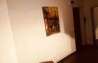Studio open space,47 m2,Barbu Vacarescu-Parcul Circului,Str. Opanez - 2