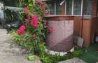 Vand sau schimb cu apartament, casa cu gradina - 2