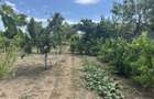 CASA DE VANZARE -3 dormitoare | 119 m2 | Curte 1.230 m2 - 3