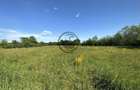 Teren intravilan de vanzare | 11.000 mp | Ghirdoveni | Comision 0%