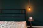Proprietar | 2 camere 62 mp | PET FRIENDLY | Gemenii - 5