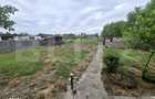 Casa cu 3 camere,zona Ardud - 1