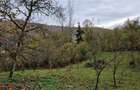 Vand teren intravilan construibil Valea Prahovei - 2