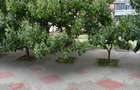 Apartament cu 2 camere decomandat în Central - 8