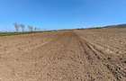 Teren agricol extravilan arabil - 1