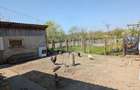 Casă cu 3 camere cu Teren 1000 Mp în Foeni - 3
