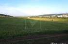 Teren agricol de 900 mp, în Florești - 8