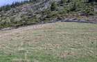 Teren de 6966 mp, în Bran - 23