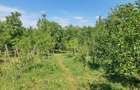 Casă cu 3 camere cu Teren 899 Mp în Ilidia - 13