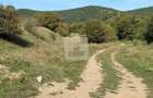 Teren extravilan de 40000 mp, în Gușterița - 1