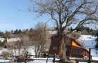 Teren intravilan de 7300 mp, în Central - 3