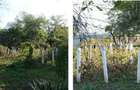 Teren intravilan Mosteni, cota parte 1/2 , ID: R2928668 - 9