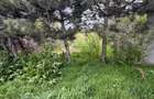 Casa de vanzare ,90 mp constructie ,teren 1400mp ,parcelabil,str Rozel - 2