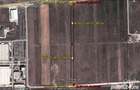 Vand teren 2950 mp intravilan langa EMERSON - 1