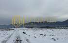 Teren Construcții de 79000 mp, în Glăjărie - 1