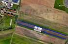 Teren agricol de 20000 mp, în Micălaca - 2