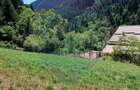Teren intravilan 1349mp | Scarisoara | Oportunitate de Investitie - 5