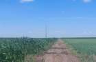 3,6 ha terenuri agricole la Cotofenii din Fata judetul Dolj - 1