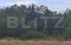 Padure de vanzare, 0,75 hectare, zona Suta Seaca