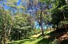 Teren intravilan de vanzare-3600 mp-str. Visinilor-Cisnadioara! - 2