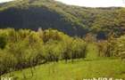 Teren in Moneasa, cu peisaj superb , pe deal in sat - 1