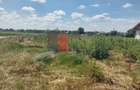 Dobreni, Giurgiu, vanzare 2 loturi de casa - 3