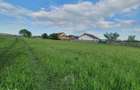 Teren rezidential Bod-Brasov zona de case - 3