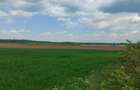 Teren Construcții de 35244 mp, în Bălteni - 5