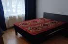 Apartament 3 camere parter Ion Slavici - 7