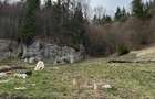 Teren de 6000 mp, în Dâmbovicioara - 7