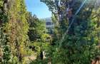 Vanzare apartament 3 camere in Vila Pajura