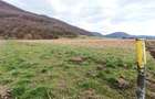 Bra?ov Bartolomeu- Cucului,Intravilan 16.500mp,dezvoltare rezidentiala - 1