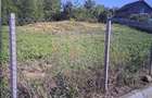 TEREN INTRAVILAN//COM. PLOPU//1300//2700 MP - 6