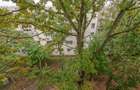 Apartament cu 3 camere decomandat în Drumul Taberei - 17