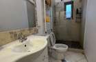 Penthouse cu terasa 50mp- Unirii - 7