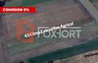 Teren agricol extravilan de 4343 mp, în Utvin - 1