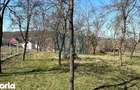 Casa din caramida cu anexa ?i teren 33 ari in Manau, Maramure? - 2