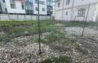 Teren Intravilan 718 mp, deschidere 29,58 m Chiajna, Str. Orhideelor 44 - 5