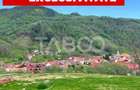 Teren 1059 mp in Raul Sadului Natura liniste si investitie - 1