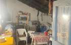 Teren cu casa in comuna Iepuresti, judetul Giurgiu - 7
